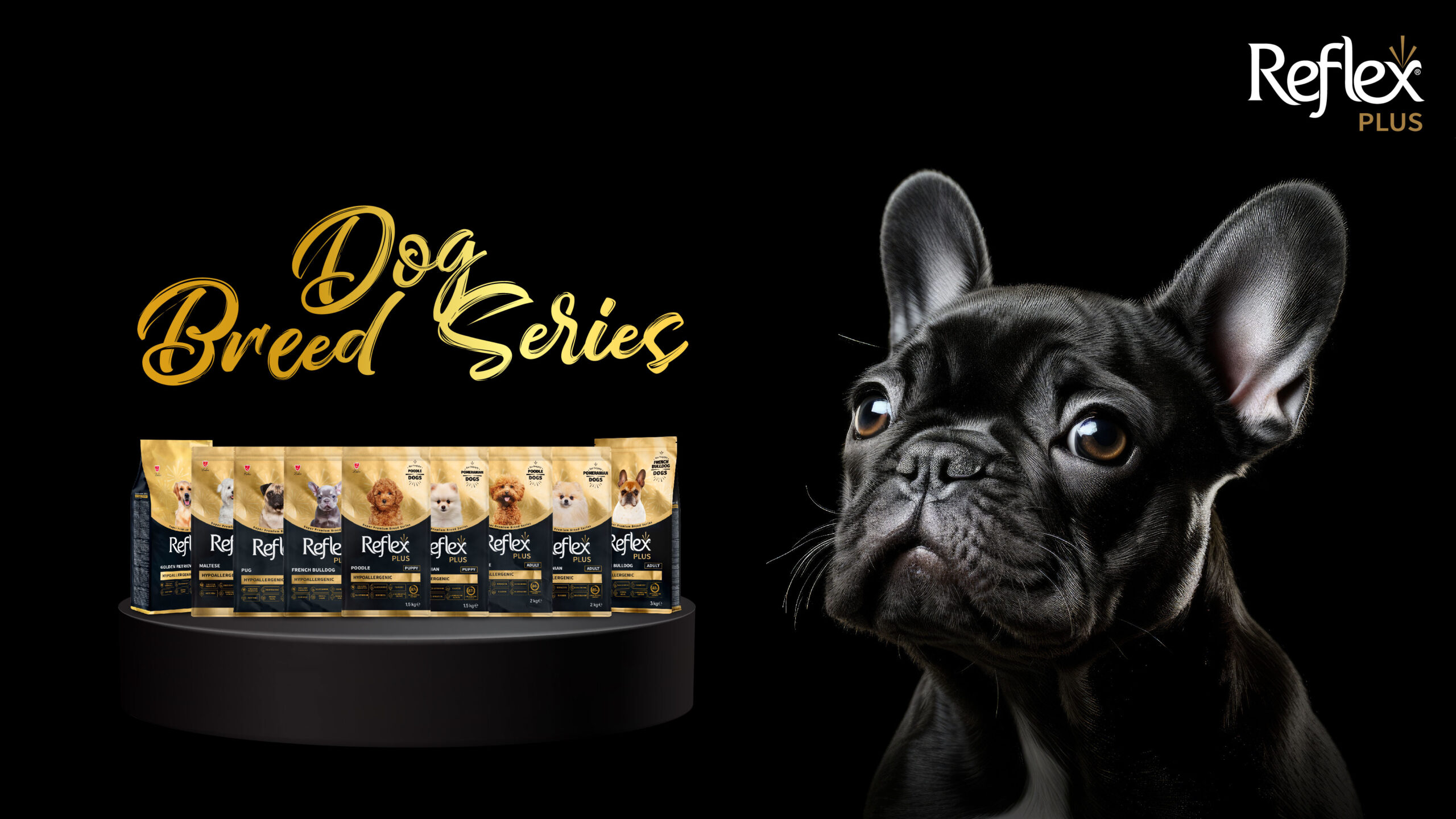 Banner Website reflex-01