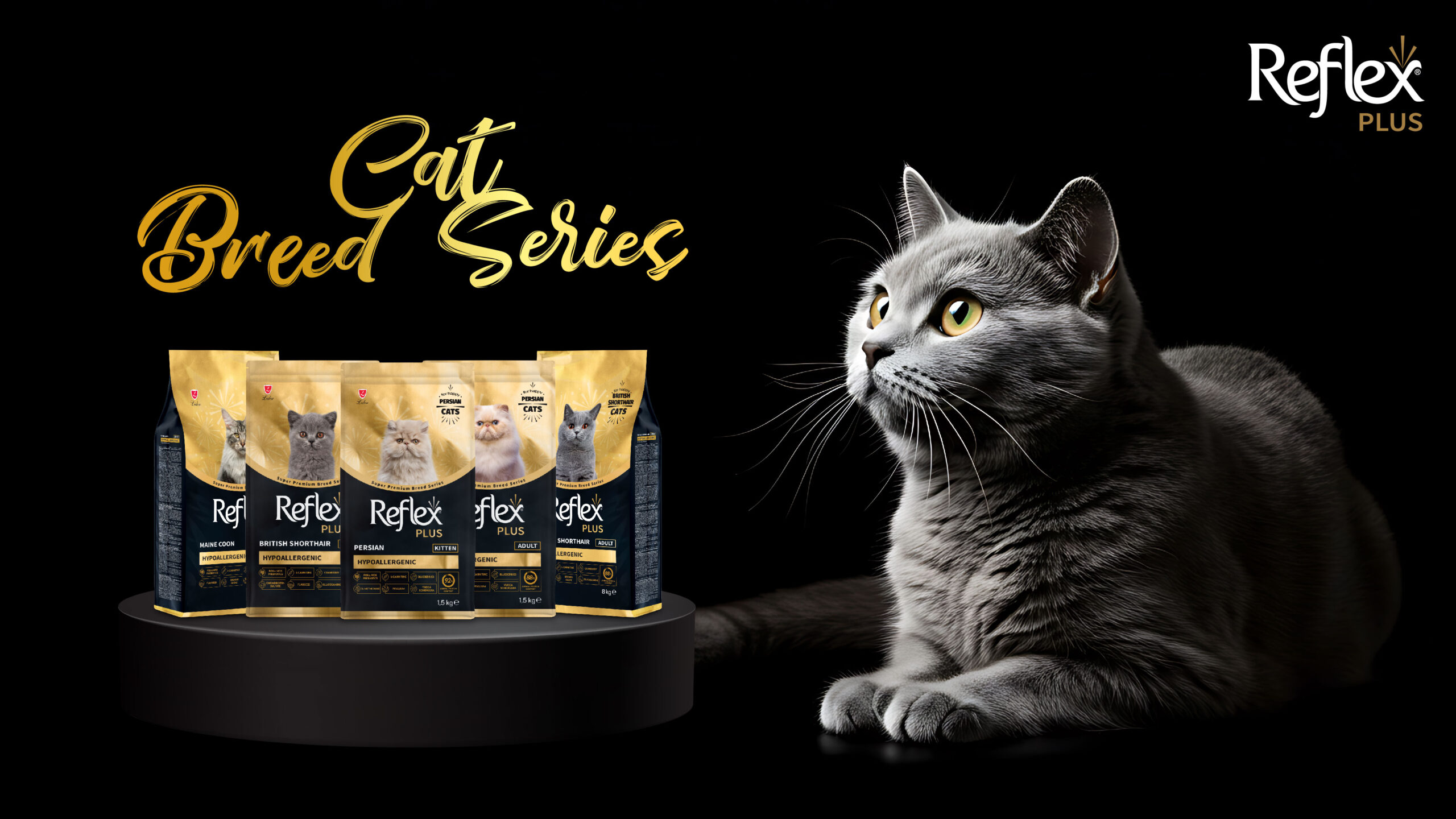 Banner Website reflex-02