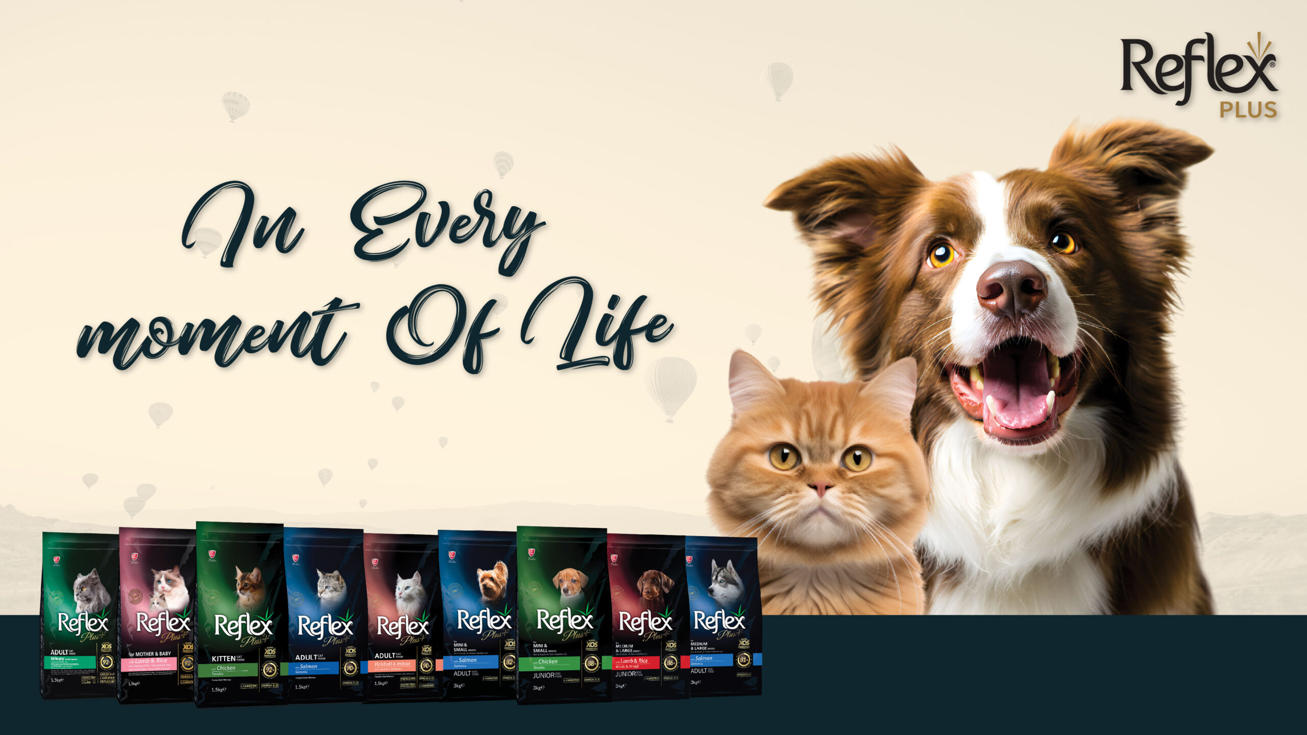 Banner Website reflex-03