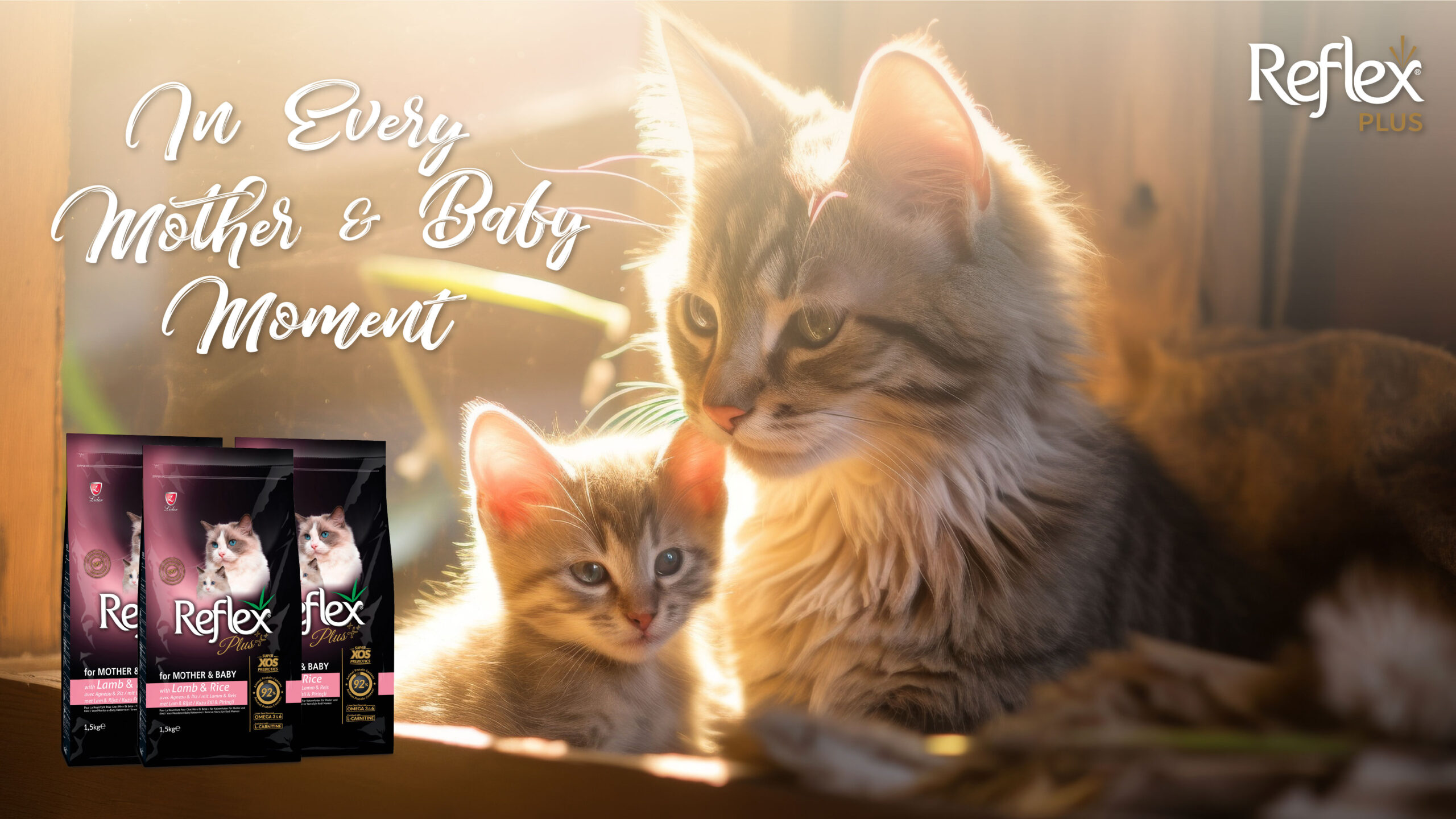 Banner Website reflex-04