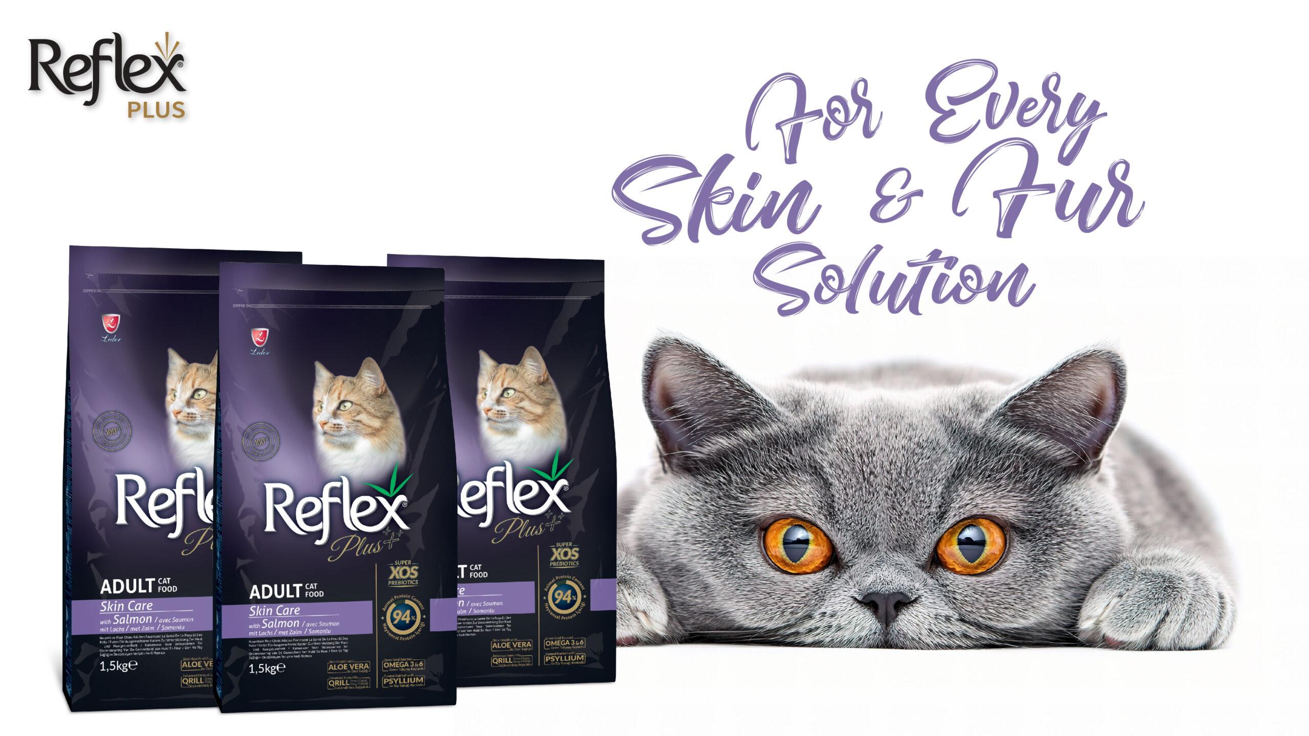 Banner Website reflex-05