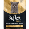 RFX-501_ReflexPlus_BritishShorthair_Kitten_1,5kg_On REFLEX PLUS BRITISH SORTHAIR KITTEN 1,5kg/8kg