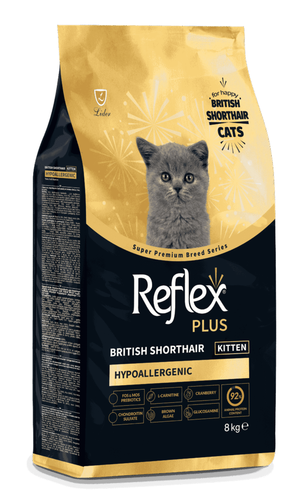RFX-541_ReflexPlus_British_Kitten_8kg_sag_12_11zon REFLEX PLUS BRITISH SORTHAIR KITTEN 1,5kg/8kg