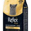 RFX-541_ReflexPlus_British_Kitten_8kg_sol_13_11zon REFLEX PLUS BRITISH SORTHAIR KITTEN 1,5kg/8kg