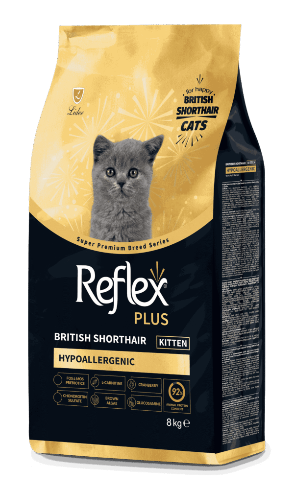 RFX-541_ReflexPlus_British_Kitten_8kg_sol_13_11zon REFLEX PLUS BRITISH SORTHAIR KITTEN 1,5kg/8kg