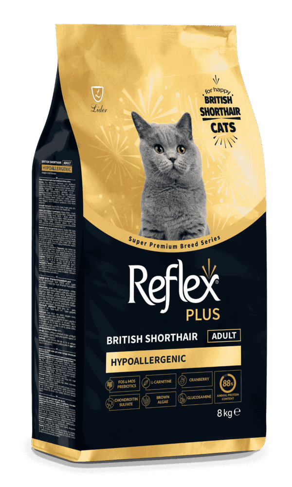 RFX-542_ReflexPlus_British_Yetiskin_8kg_sag_11zon REFLEX PLUS BRITISH SHORTHAIR ADULT 1,5kg/8kg